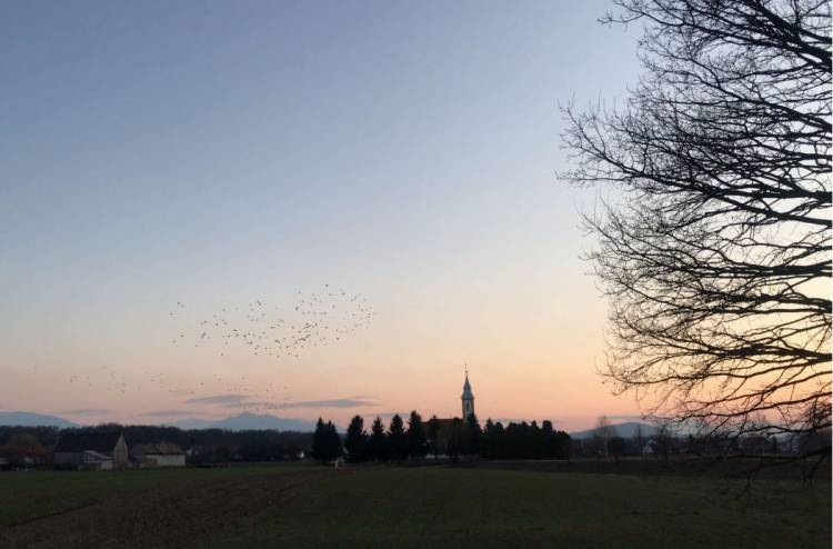 8 idei pentru a trece mai ușor peste provocările actuale